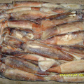 Seafood Frozen Illex Loligo Squid 100-200g 10Glazing